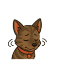 琉球犬の日常スタンプ2（個別スタンプ：27）