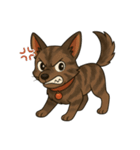 琉球犬の日常スタンプ2（個別スタンプ：29）