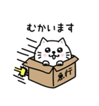 ぷるねこちゃーん長文挨拶（個別スタンプ：29）