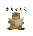 【爆笑】スコティッシュホールド＠コスプレ（個別スタンプ：5）