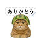 【爆笑】スコティッシュホールド＠コスプレ（個別スタンプ：12）