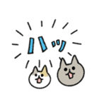 シュッとしたネコ37 よく使う言葉（個別スタンプ：4）