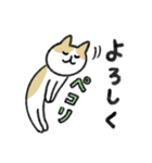 シュッとしたネコ37 よく使う言葉（個別スタンプ：5）