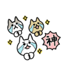 シュッとしたネコ37 よく使う言葉（個別スタンプ：18）