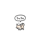 チワワ(フキダシ)（個別スタンプ：2）