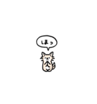チワワ(フキダシ)（個別スタンプ：11）