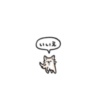 チワワ(フキダシ)（個別スタンプ：13）