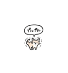 チワワ(フキダシ)（個別スタンプ：20）