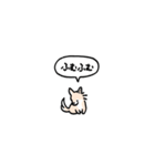 チワワ(フキダシ)（個別スタンプ：21）