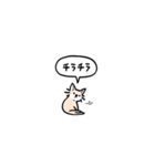 チワワ(フキダシ)（個別スタンプ：22）