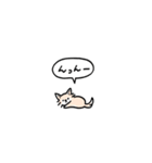 チワワ(フキダシ)（個別スタンプ：26）