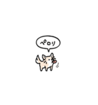 チワワ(フキダシ)（個別スタンプ：34）