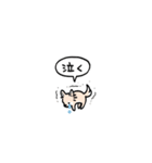 チワワ(フキダシ)（個別スタンプ：35）