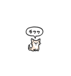 チワワ(フキダシ)（個別スタンプ：39）