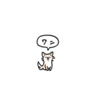 チワワ(フキダシ)（個別スタンプ：40）
