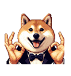 お城の中の太っちょ柴犬（個別スタンプ：8）