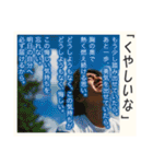 超毎日使える♡ポエム（個別スタンプ：38）