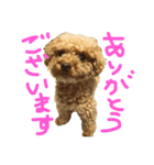ちびっこハルク（個別スタンプ：3）