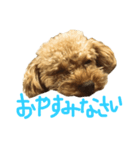 ちびっこハルク（個別スタンプ：6）