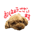 ちびっこハルク（個別スタンプ：7）