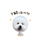 豆腐ちゃん♡deformation（個別スタンプ：1）