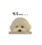 豆腐ちゃん♡deformation（個別スタンプ：16）
