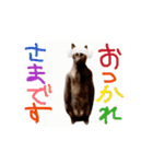 お酒とネコ好きな日常会話 47（個別スタンプ：6）