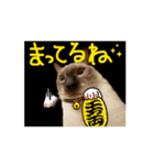 お酒とネコ好きな日常会話 47（個別スタンプ：11）