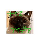 お酒とネコ好きな日常会話 47（個別スタンプ：12）