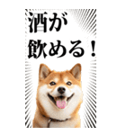 酒☆柴犬【BIG】（個別スタンプ：3）