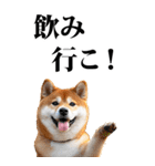酒☆柴犬【BIG】（個別スタンプ：5）