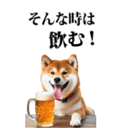 酒☆柴犬【BIG】（個別スタンプ：6）