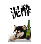 酒☆柴犬【BIG】（個別スタンプ：7）