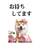 酒☆柴犬【BIG】（個別スタンプ：10）
