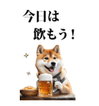 酒☆柴犬【BIG】（個別スタンプ：11）