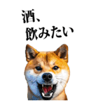 酒☆柴犬【BIG】（個別スタンプ：19）