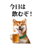 酒☆柴犬【BIG】（個別スタンプ：20）