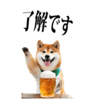 酒☆柴犬【BIG】（個別スタンプ：24）