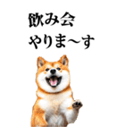酒☆柴犬【BIG】（個別スタンプ：25）