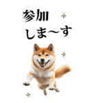 酒☆柴犬【BIG】（個別スタンプ：26）