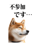 酒☆柴犬【BIG】（個別スタンプ：27）