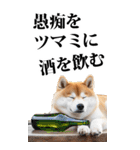 酒☆柴犬【BIG】（個別スタンプ：32）