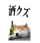 酒☆柴犬【BIG】（個別スタンプ：36）