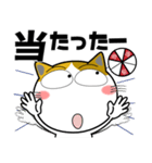三毛猫★推し活（個別スタンプ：27）