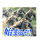 マッハゴリラ（個別スタンプ：5）