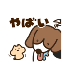 キンクマサンちゃん！（個別スタンプ：38）