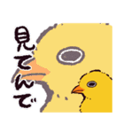 ヒヨコです.（個別スタンプ：7）