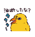 ヒヨコです.（個別スタンプ：39）