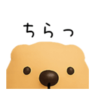 ゆるいきゃぴばら（個別スタンプ：15）