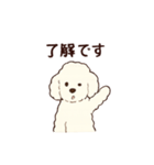 白いプードルちゃん（個別スタンプ：3）